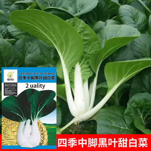 ���l�ˈ@�߲��ļ����_���~��ײ�15�˰ײ��̨Ժ�Ӳ��� �S�����l