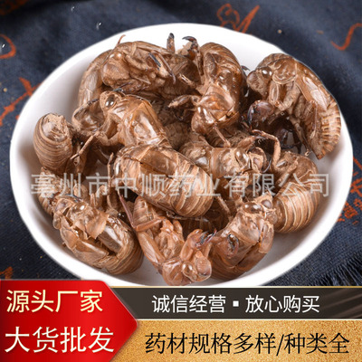 中药材蝉蜕蝉壳批发知了皮知了壳蝉衣枯蝉虫蜕爬了猴壳金蝉衣价优