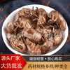 中药材蝉蜕蝉壳批发知了皮知了壳蝉衣枯蝉虫蜕爬了猴壳金蝉衣价优|ms