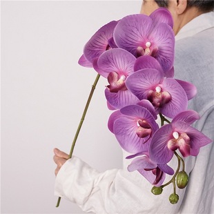 �����m���ָд�̖��֧�m���~�Ӽٻ��͏d������c�廨�b[��