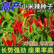 48Сrl؛ڳ콷NСNС׽ļͥԺ