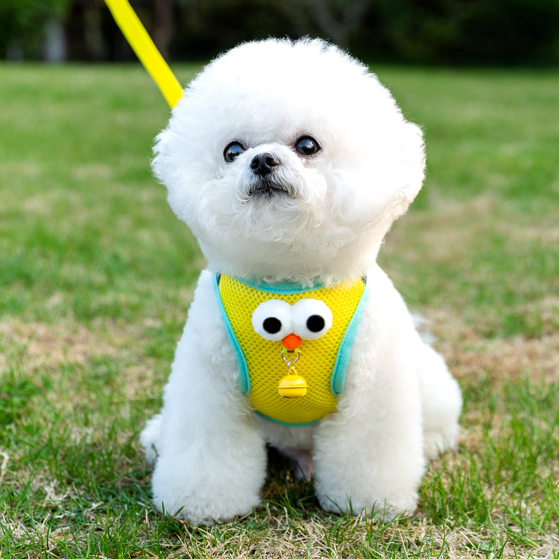 Cuatro estaciones para perros, accesorios tridimensionales divertidos y transpirables, ojos grandes, linda correa para mascotas, cuerda para pasear perros, cuerda para pasear gatos