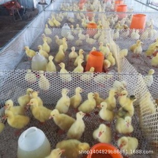 �Z�����|�Z�����l��N���Z��r��|���Ъ{�^�Z�繩���ʵ��Z����Z