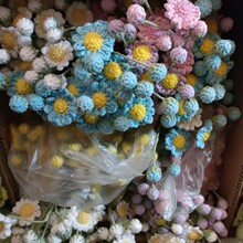 �ֹ�ë���h���[�������ż��Ʒ�Y��耳׿�