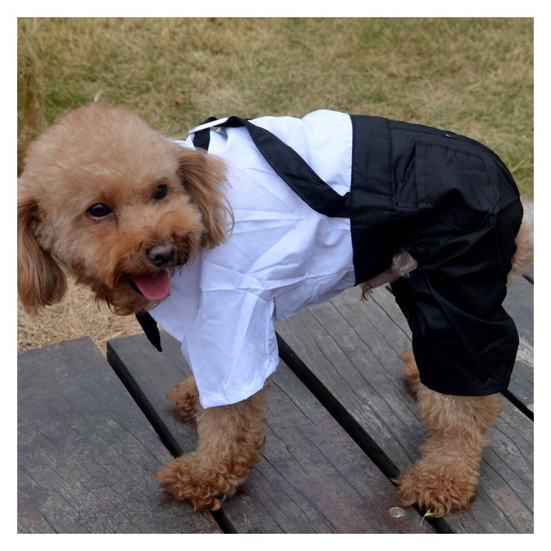 Suit with Bright Collar for Male Pet Cat Teddy Puppy Dog ​​Clothes Wedding Photo Fake Two-Piece Shirt Suit-Tuxedo