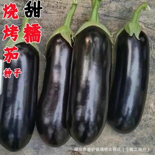 �������ӷN�ӌ������ӷN�Ѻ���ɫ�ش�G���Ѵ����ļ��ļ��߲˷N��