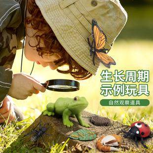 ���ƃ�ͯ������ܺ����u���x����ֲ�����L����ģ�������׃��@�̾�