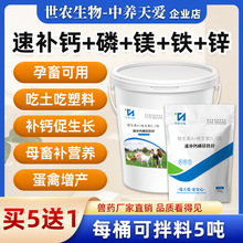 ���a�}���V�F�\�u���Z�a��I�B�iţ��ʳ�����Ǽ�����ʳ�����L