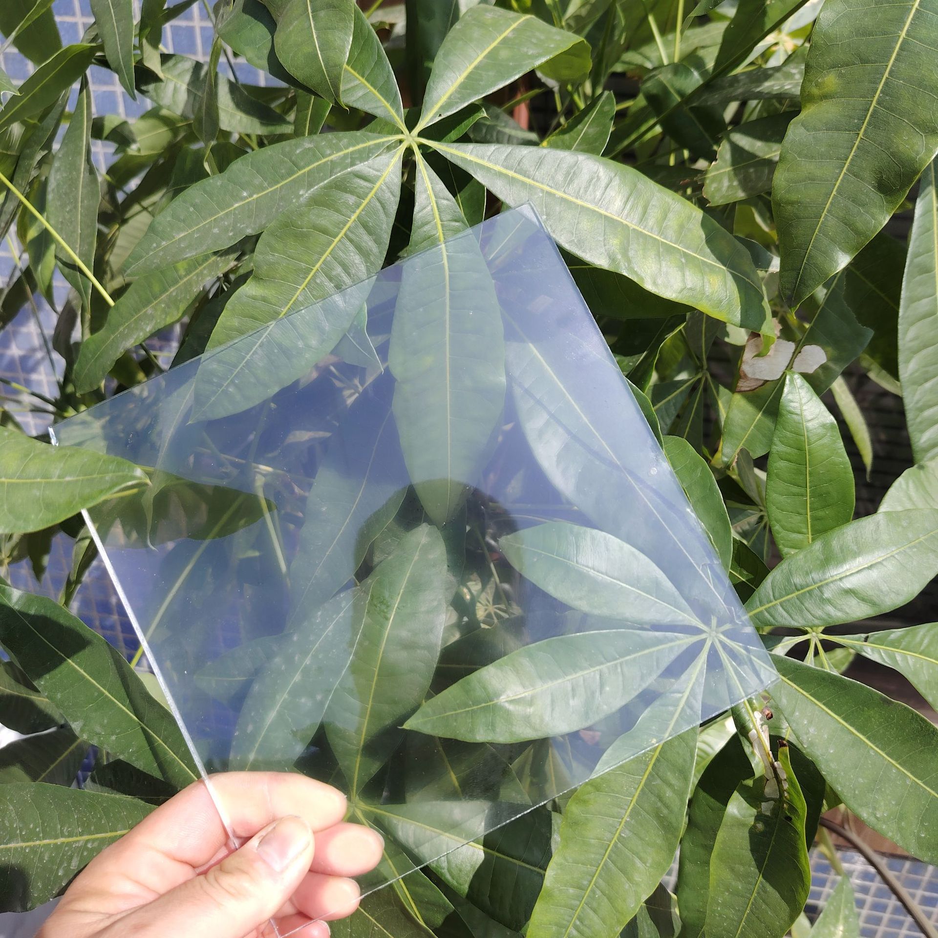 微信图片_202503050145262