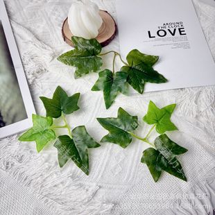 L~^z~ӷڒٗl~ƬDIYbع~