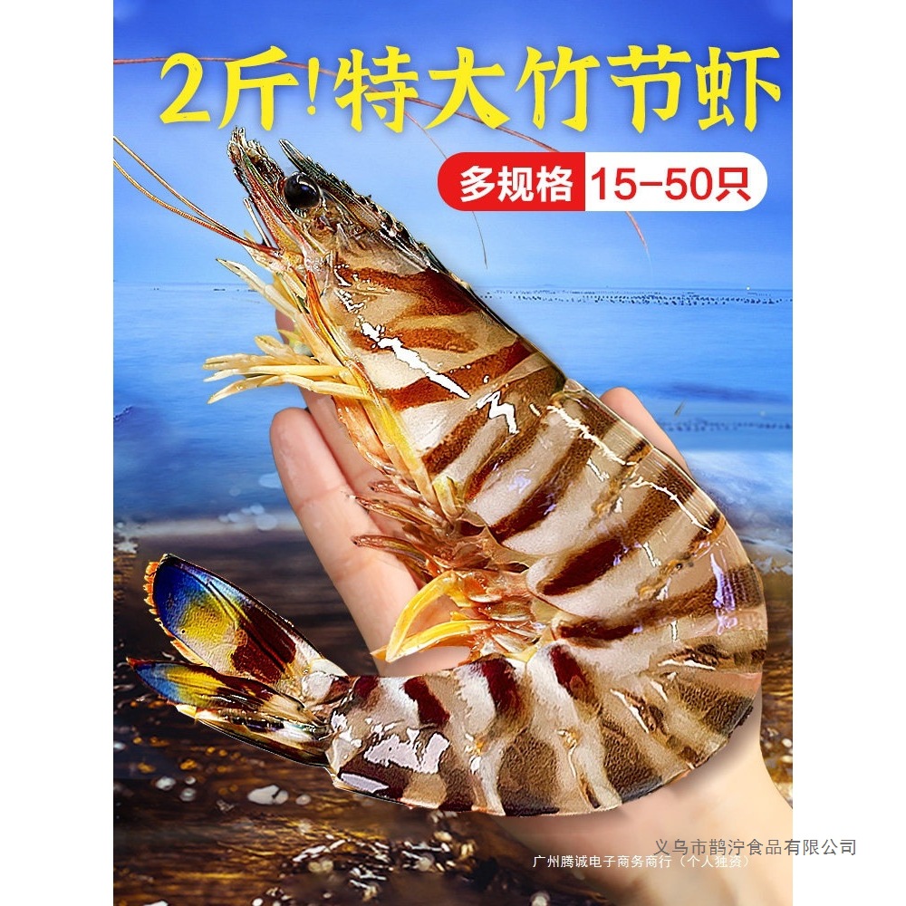 九节虾超大斑节虾特大竹节虾基围虾大虾海鲜虾鲜活速冻海虾黑虎虾