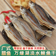 广东产咸鱼干货广式腊味腊鱼整条新鲜风干腌制万绿湖淡水鲮鱼干