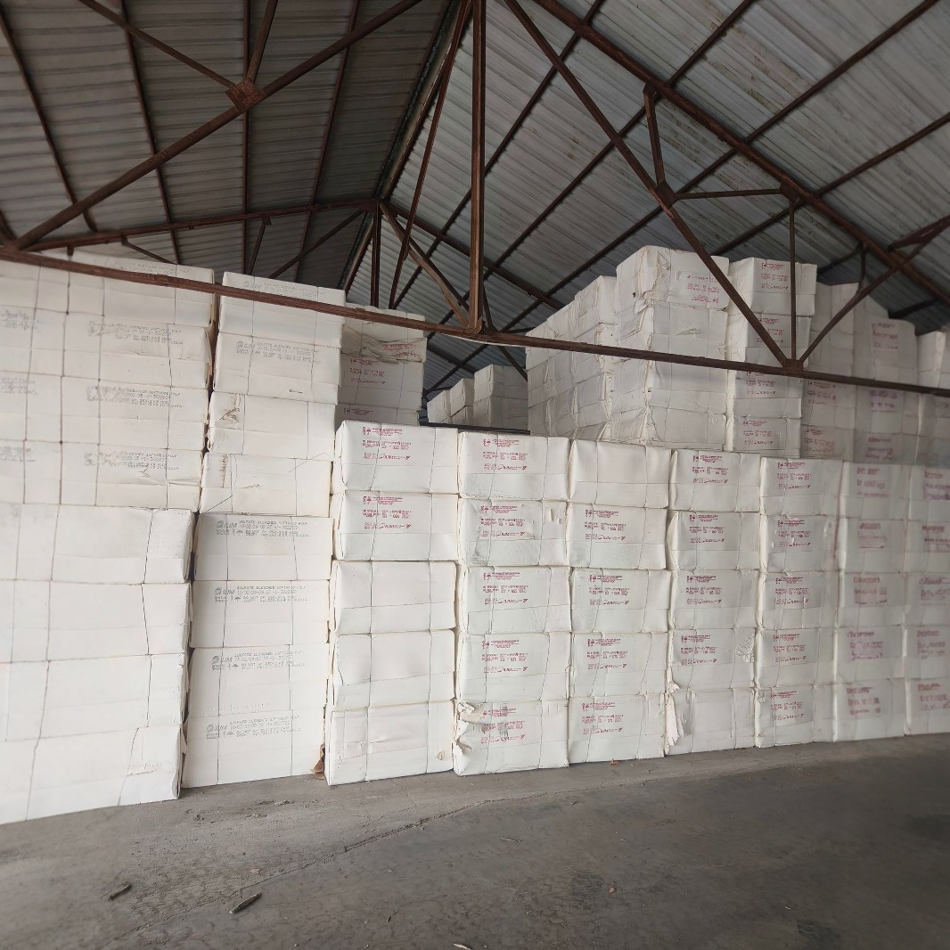 2024-11-13 11:08:39.jpg