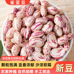 ���ȸ������؛�r���خa�t���ӻ�ܿ������s�Z����ܿ�����r�����