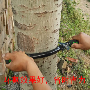 果树环割刀环剥器多向可调节式环割工具剥皮神器园艺环切树皮现货-阿里巴巴