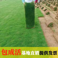 ��������Ƥ���ƺ�e�����@���̾G���ļ������Ľ��̨�����Ƥ����