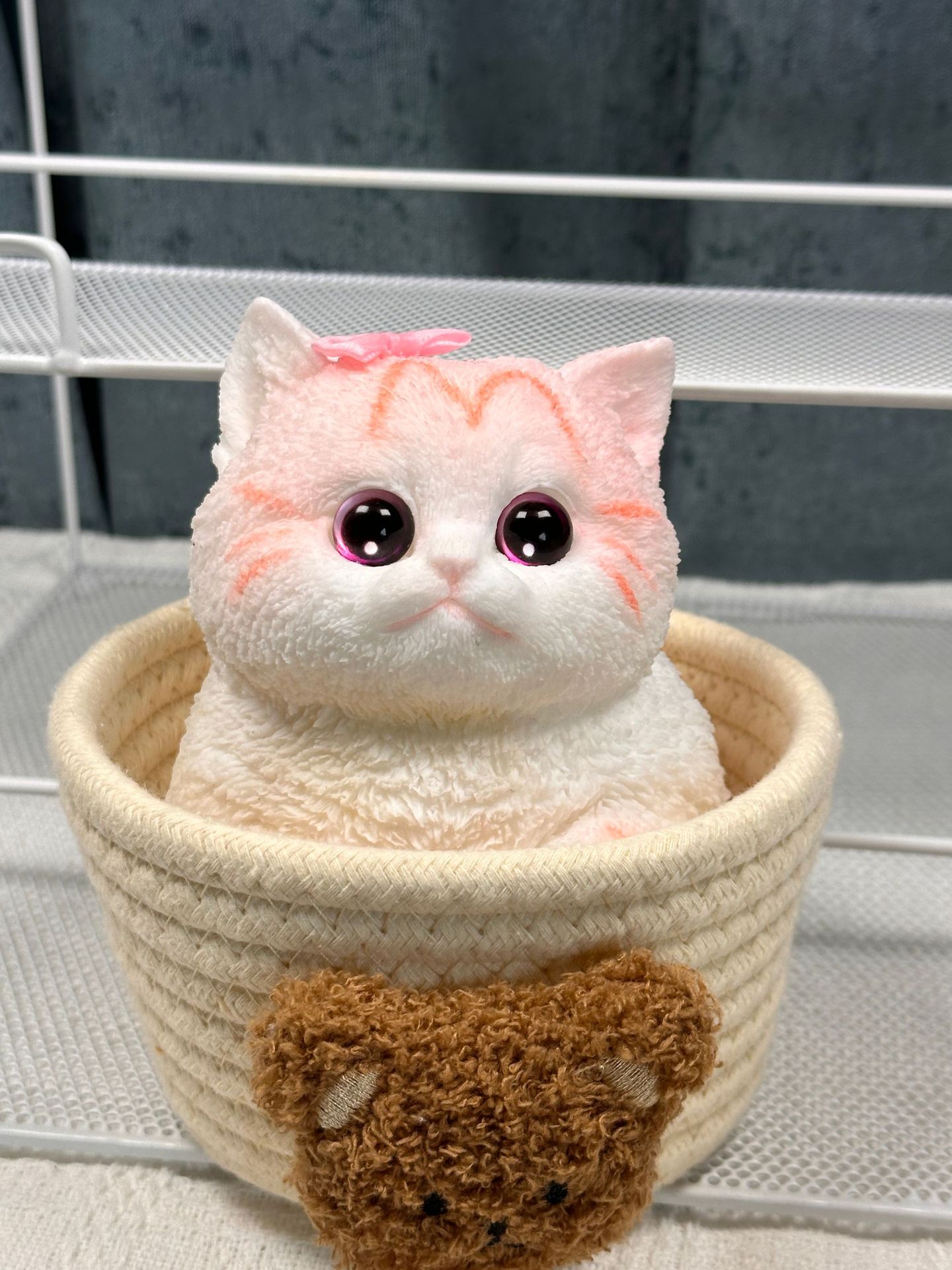 핑크 고양이(고양이 둥지 제외)