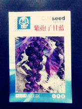 紫孢子甘藍種子紫色狍子甘藍包心菜種高產四季盆栽大田蔬菜種籽苗