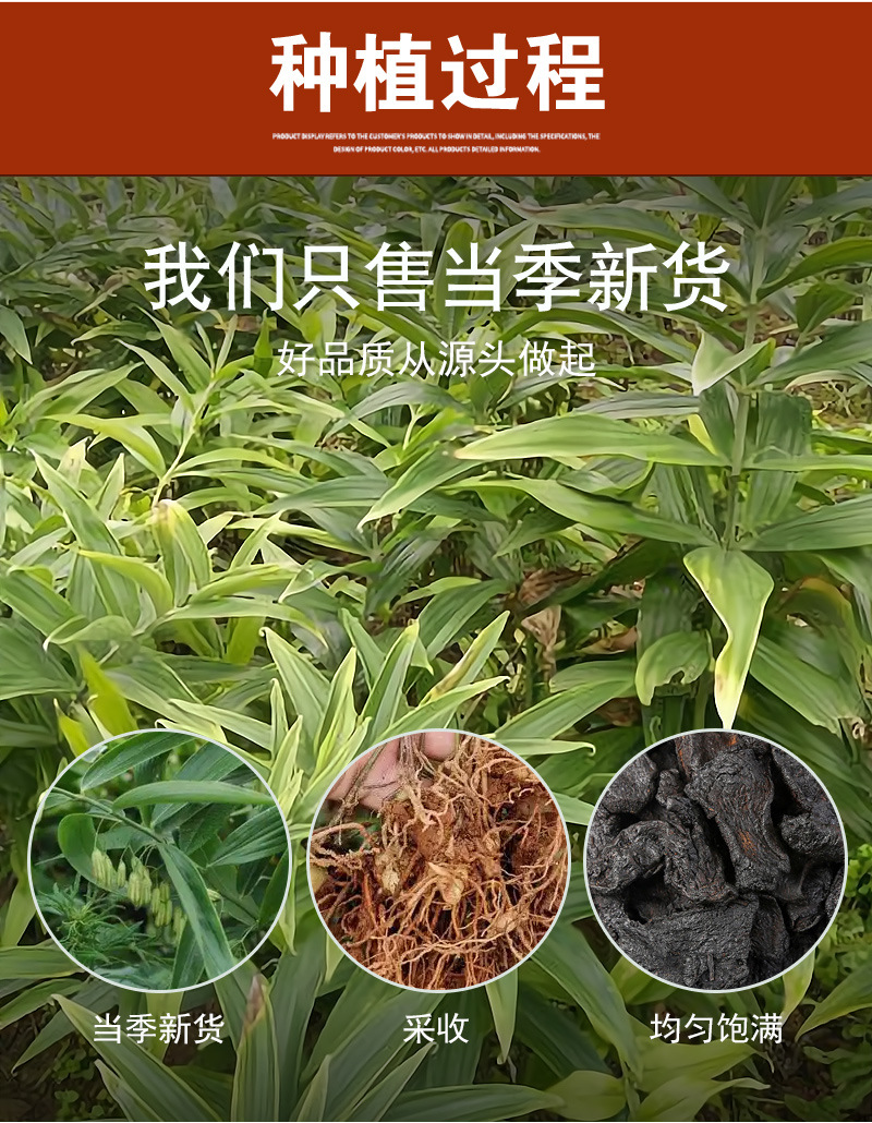 Nine-Steam Nine-Sun Dried Huang Jing (Polygonatum sibiricum) — Ready-to-Eat Herbal Slices, 500g preparation