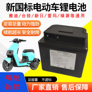 48V新國標15安30安兩輪車磷酸鐵鋰電池電動車鋰電池