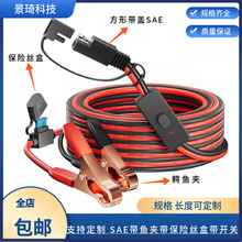 ����SAE�~�A���L�� SAE����ጷ��m�����{�~�A�ӎ����U�z���Դ��