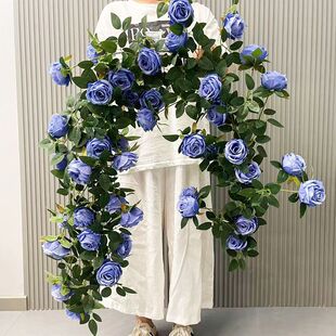 ����õ���ٗl���ϼٻ�����ֲ����{�ܵ��b��ړ��p�@���Ϳ���