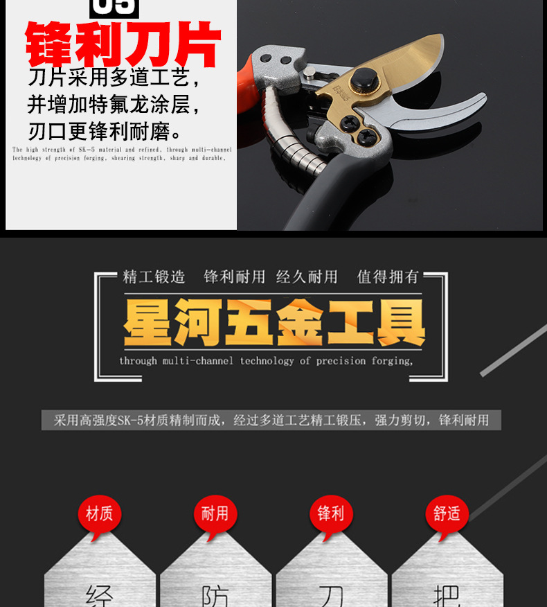 V5黑金刚_07
