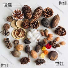 ɹֹdiyľξƵꄓ֧֦lƹܛb˱