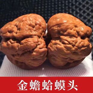 ��������ӑc����^ɽ�ع��P���ְѼ���Ůͨ��