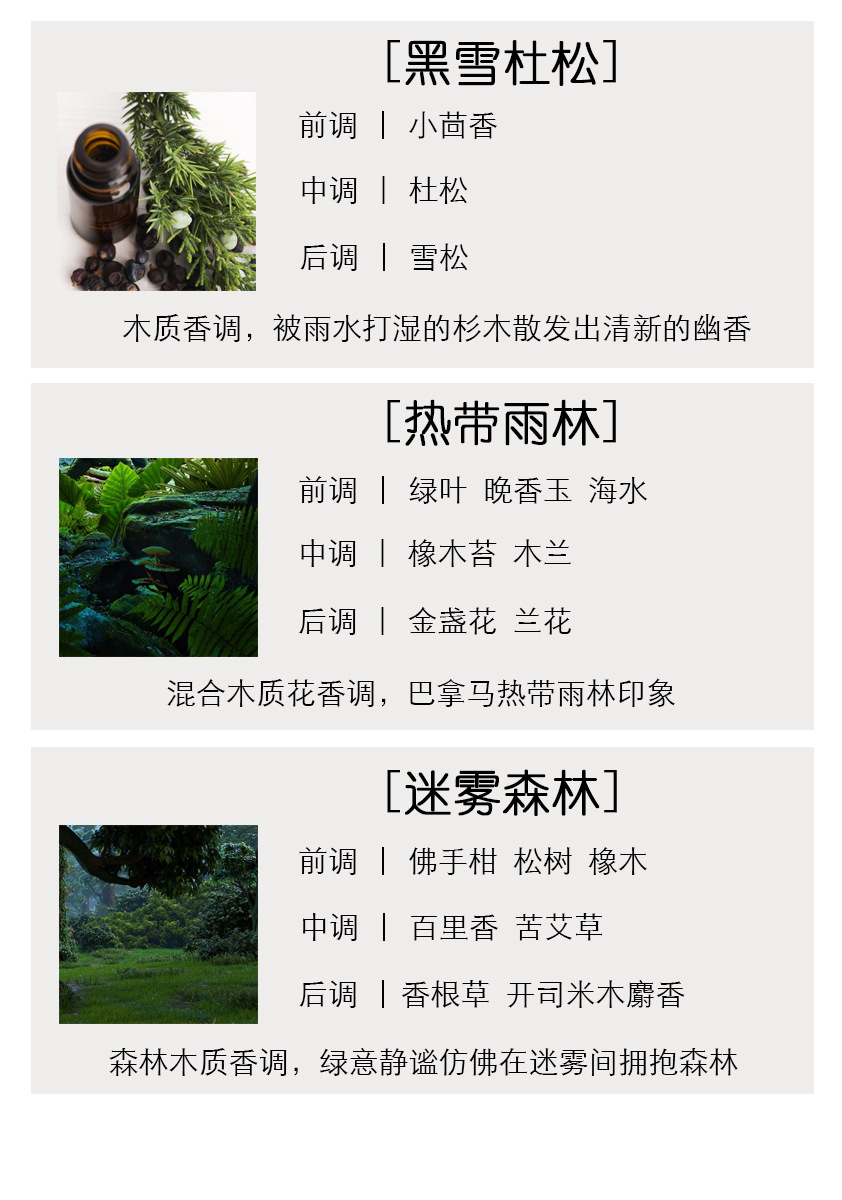 雪松，热带雨林，迷雾森林