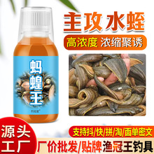 蚂蟥王水蛭诱食捕饵料诱饵野钓捉蚂蝗蟥诱小药夏季主播推荐钓冠星