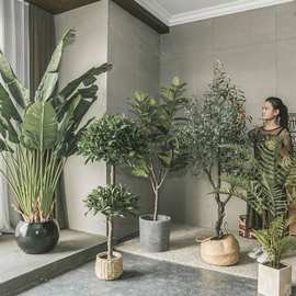 D它仿真绿植琴叶榕大型北欧盆栽尤加利树室内客厅落地旅人蕉仿生
