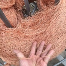 轮胎线拉网机场拦鸟网养殖网片网围栏网天网果树菜园网果园防护