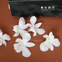�m�������� С���߼����� �����m�� �����m