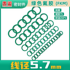 绿色氟胶o型圈线径5.7外径30-100 密封圈o形圈耐高温氟橡胶密封件