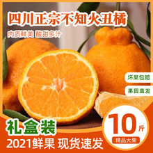 特級四川丹棱不知火丑橘當季新鮮水果丑八怪丑柑凈重12斤大果包郵