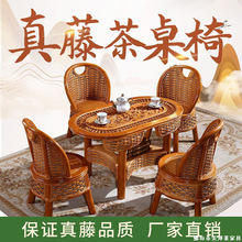 ���������������ٗl��ʽ���e���������҃�ͥԺ�̨һ�w�������M��