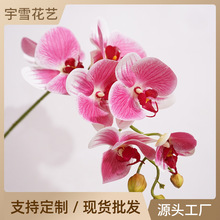 高品质仿真花手感7头蝴蝶兰餐桌花艺摆件客厅电视柜盆栽装饰假花