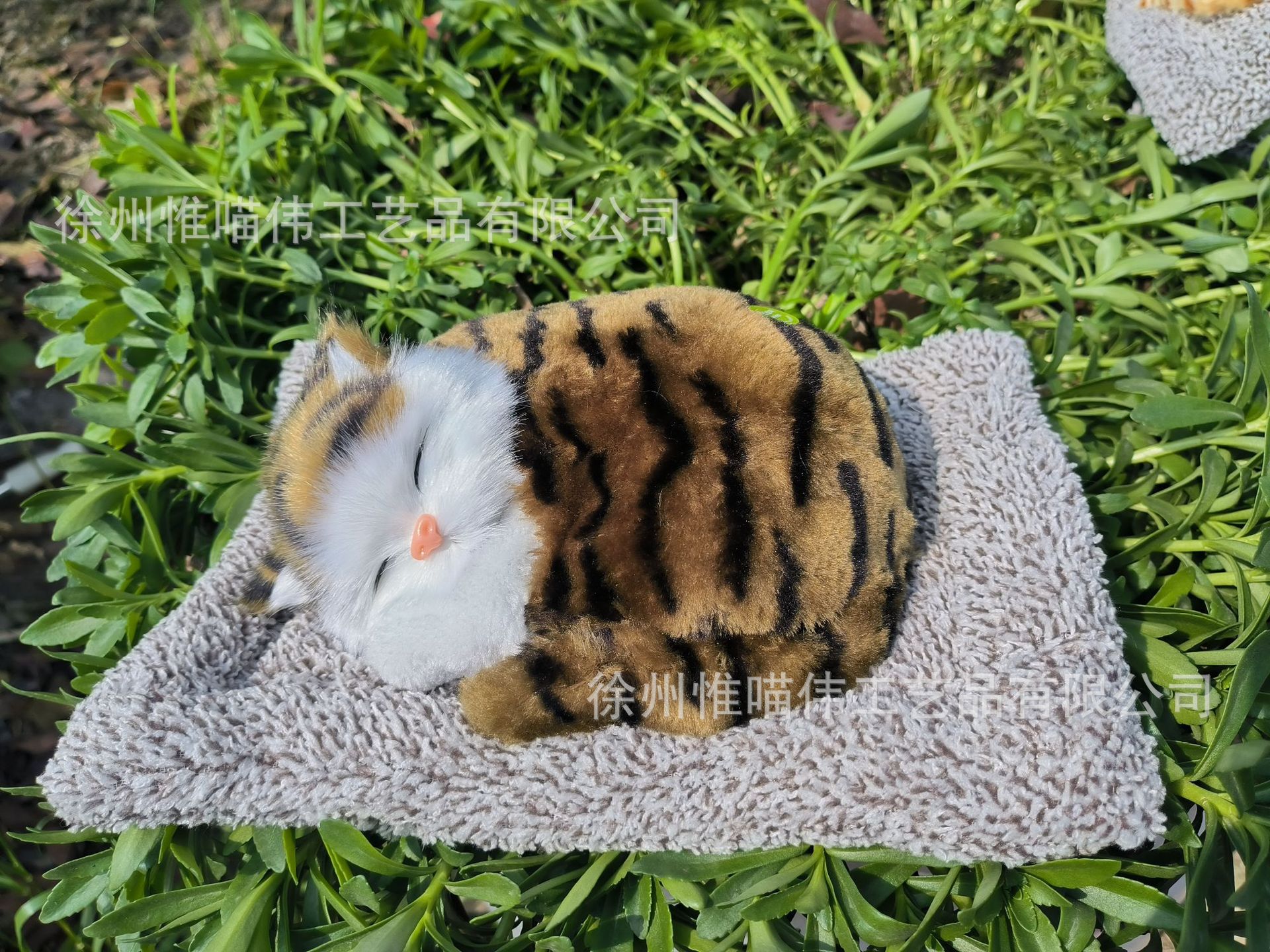 Gato de hierba grande para enviar un gato de pelo gris