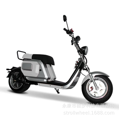 Elektrikli motosikletlər, Balance Bike - silver-empty-vehicle-battery-not-included