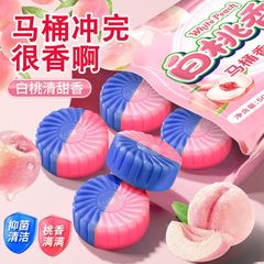 除臭洁厕宝异味除垢马桶洁厕灵厕所蓝泡泡留香卫生间清洁剂清香型