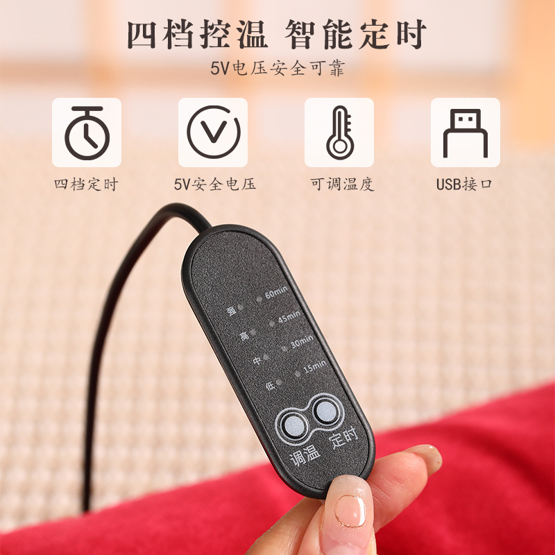 Almohada de hueso de calefacción eléctrica almohada de hueso de estera almohada de hueso de terciopelo doméstico almohada de ajenjo almohada de ajenjo almohada cervical al por mayor