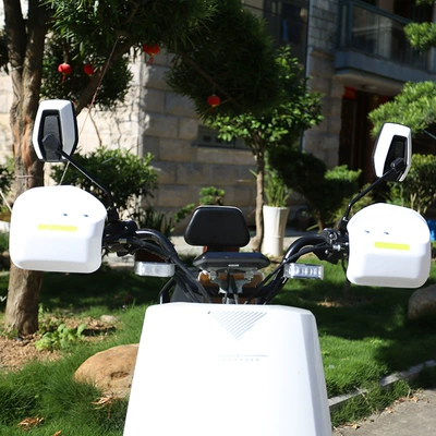 Wholesale electric car hand: Other Electric Vehicle Accessories