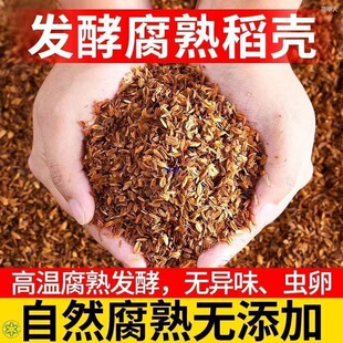 �l�͵������������������Ț��Gֲ����ֲ�ﻨ������÷�¼�ͨ������