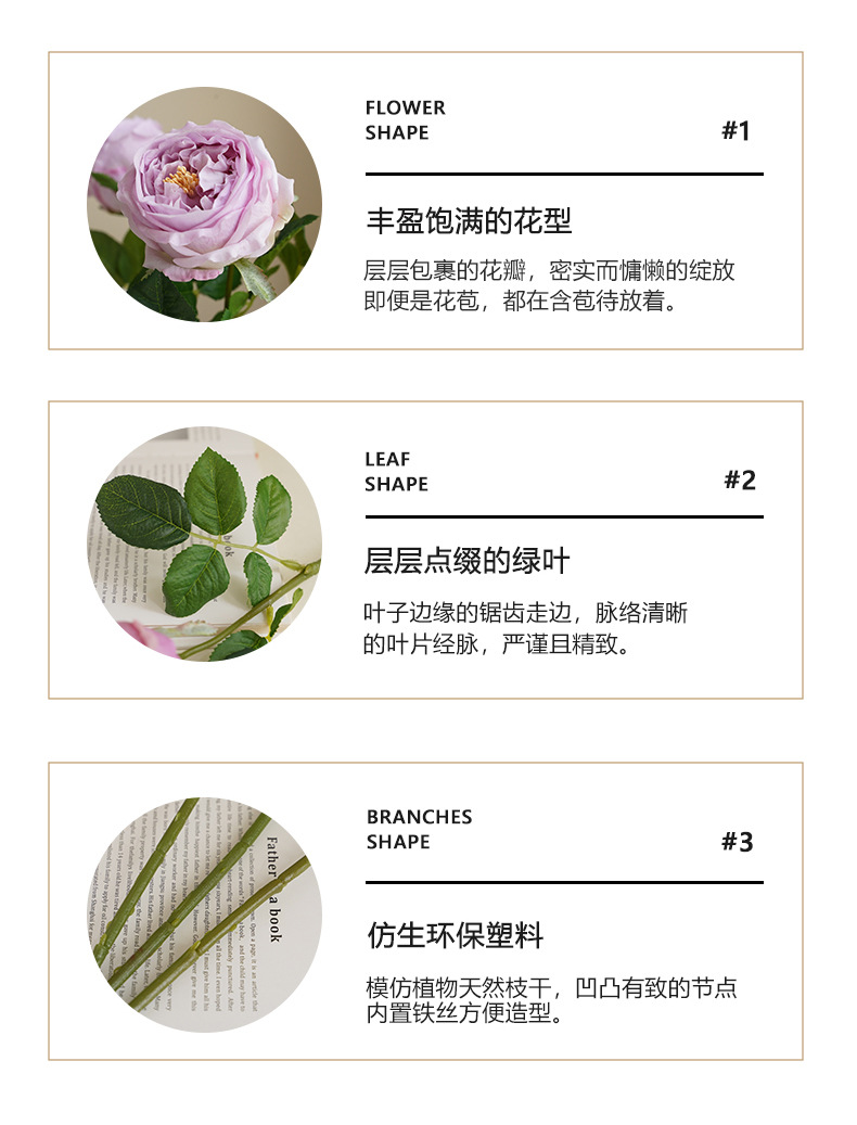单枝奈斯玫瑰_02.jpg