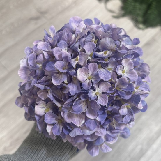 보라색