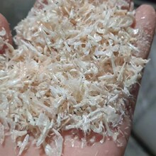 ��β���o�}��������β���r���ɢ���_�����IҰ��~�D���ϘO�r��