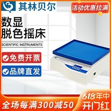 其林贝尔脱色摇床数显定时TS-1000实验室摇床TS-双层TS-1TS-200