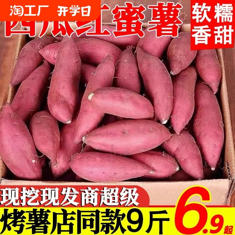 河南蜜薯新鲜9斤板栗红薯农家自种地瓜糖心烤番薯蔬菜沙地当季