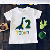 Cartoon dinosaur for boys, children's shirt, T-shirt, Birthday gift